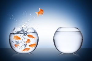 why attention span is the biggest challenge for winning leads